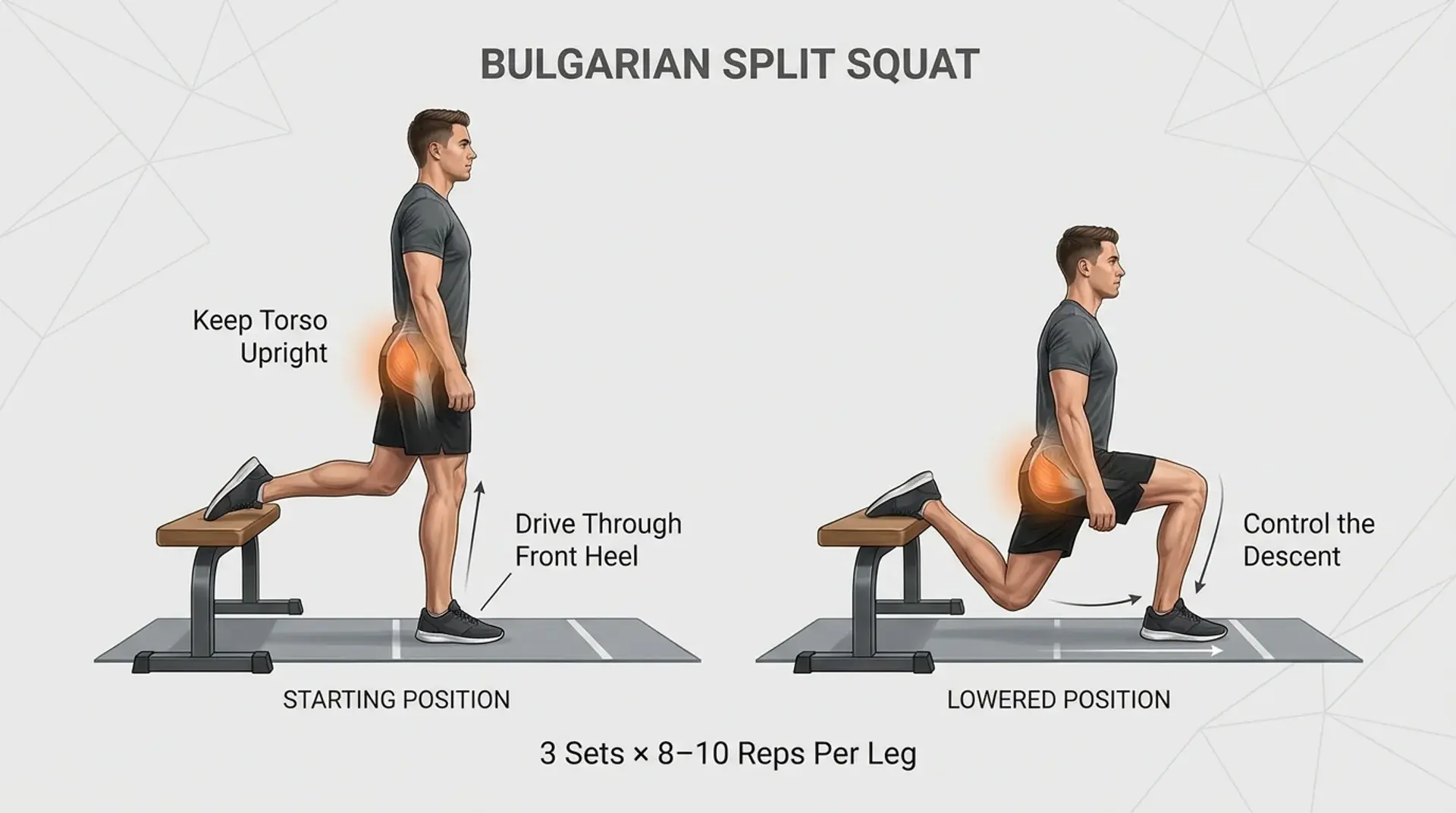 Bulgarian split squat infographic showing proper form for upper glute training