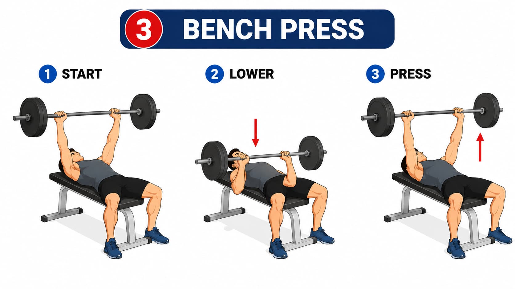 A three-step diagram illustrating the start position, lowering phase, and upward press for a barbell bench press.
