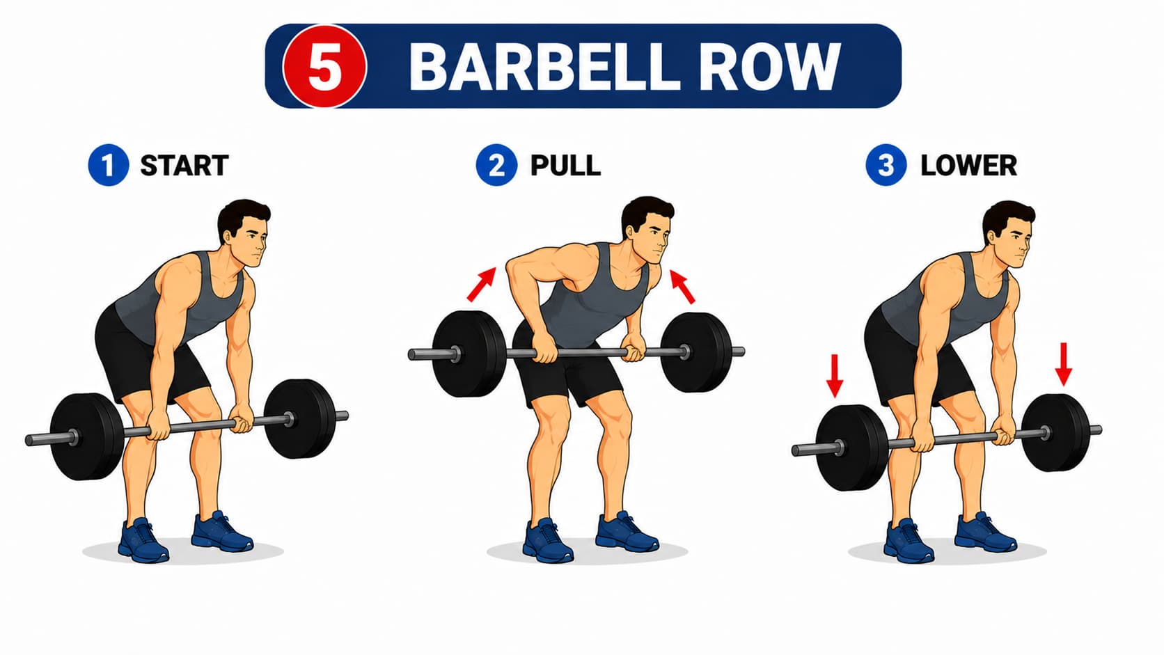 A three-step diagram illustrating the start position, pull phase, and lowering phase for a barbell row.