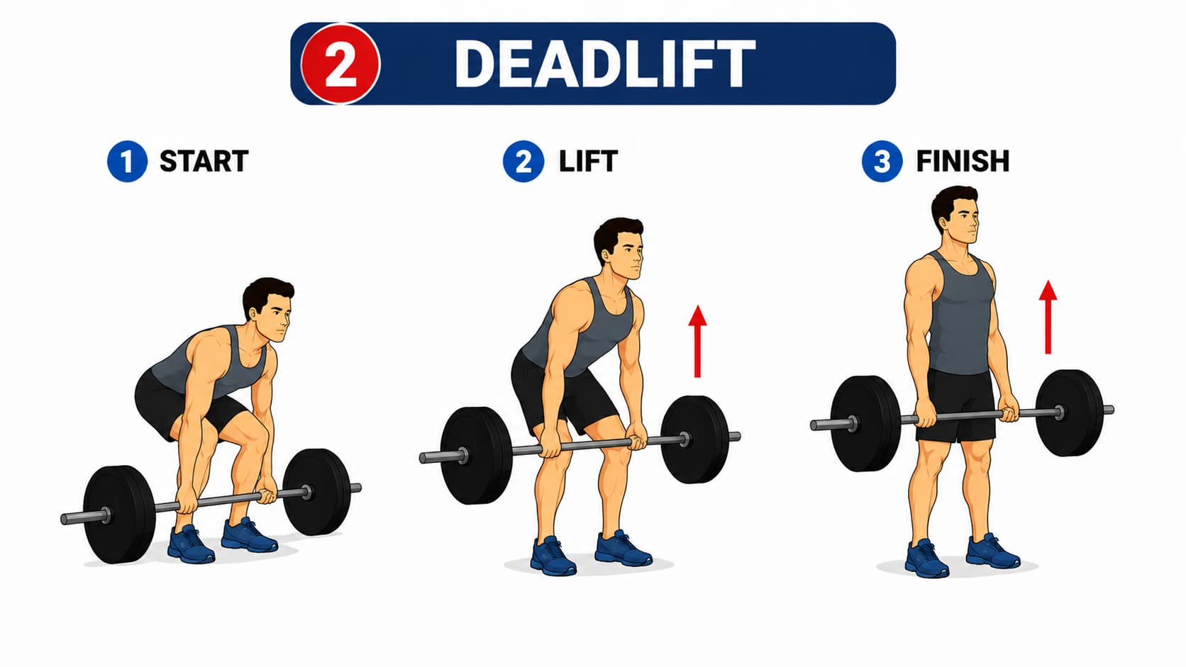 A three-step diagram illustrating the start position, lifting phase, and full extension finish for a barbell deadlift.