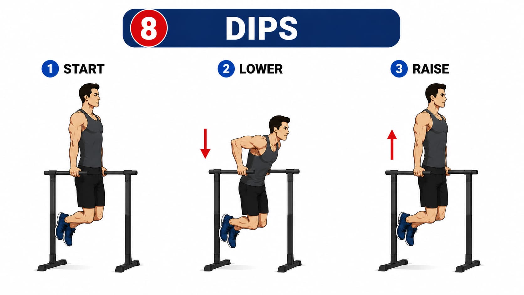 A three-step diagram showing the start position, lowering phase, and upward raise for a parallel bar dip.