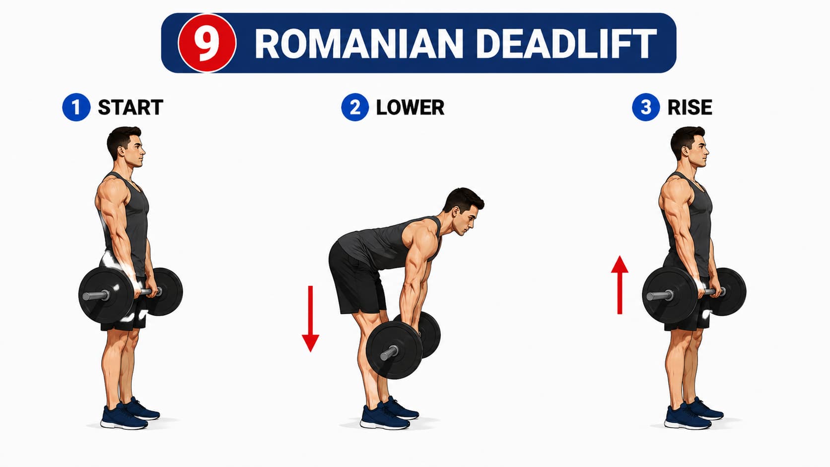 A three-step diagram showing the start position, lowering phase, and upward rise for a barbell Romanian deadlift.