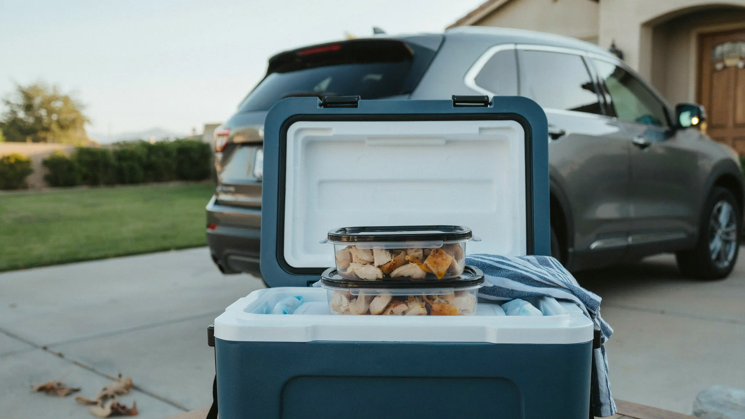 Cubed rotisserie chicken stored in a cooler as a high-protein road trip snack.