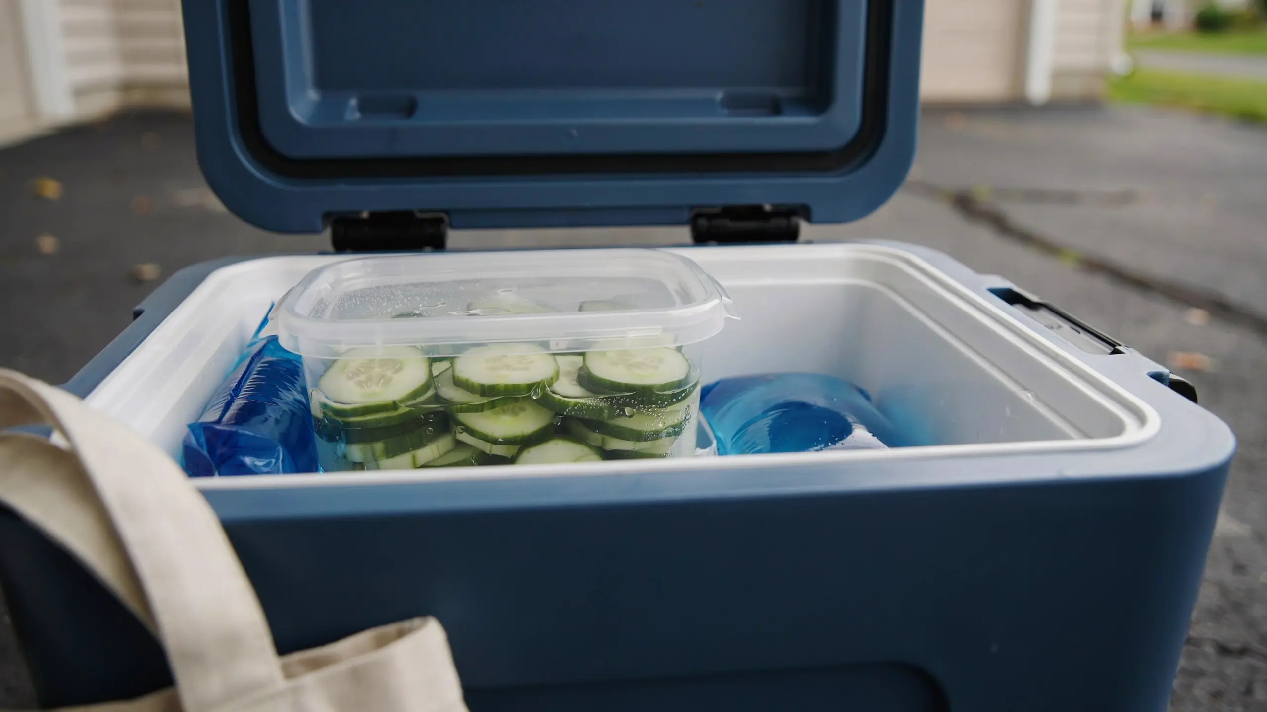 Cucumber slices stored in a cooler as a refreshing road trip snack.