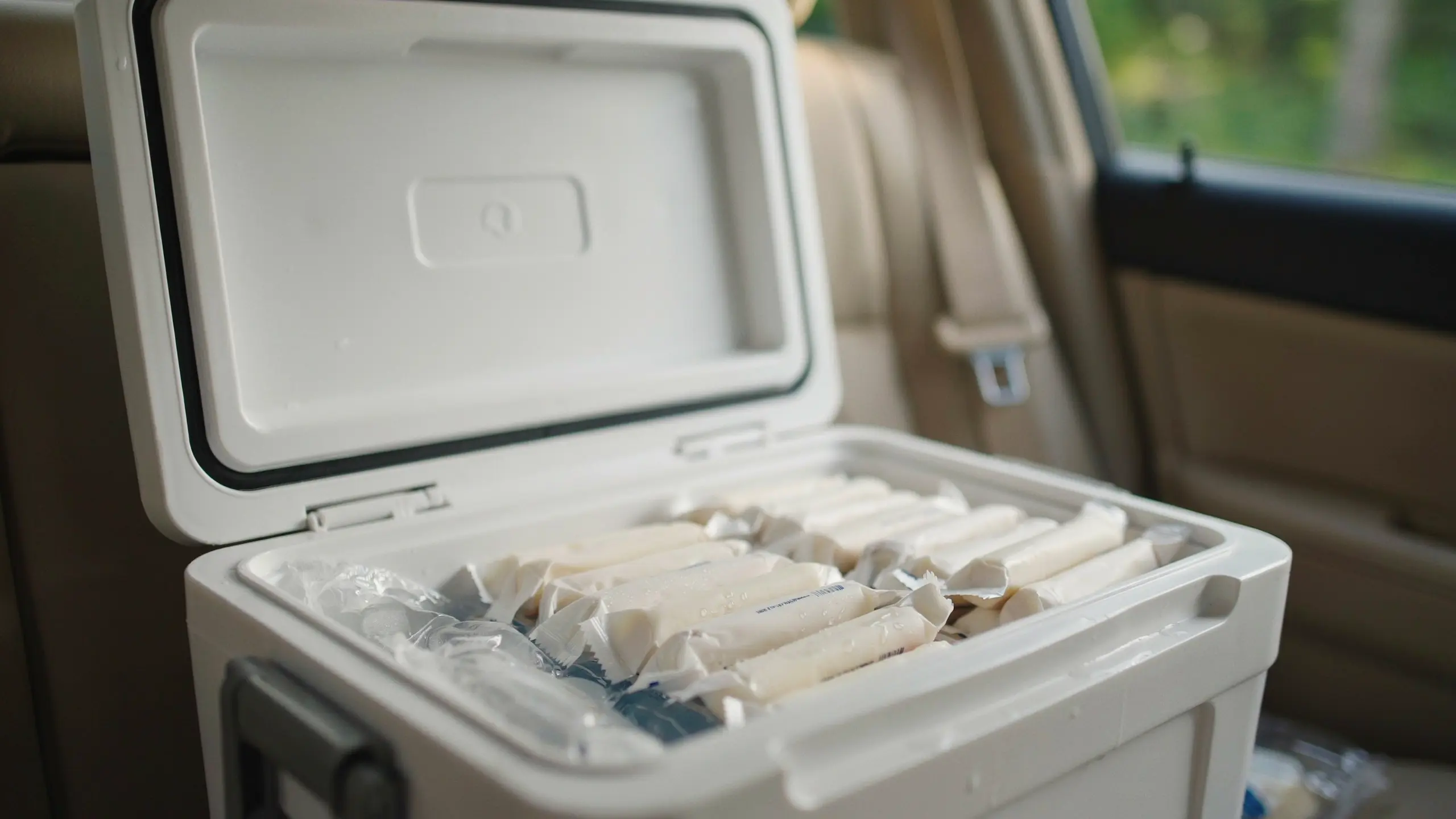 Frozen string cheese sticks stored in a cooler for a healthy road trip snack.
