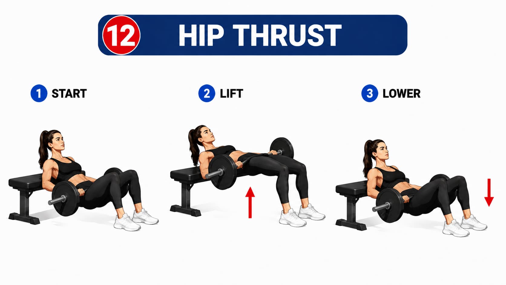 Hip Thrust: A three-step diagram showing the start position, hip lift, and lowering phase for a barbell hip thrust.
