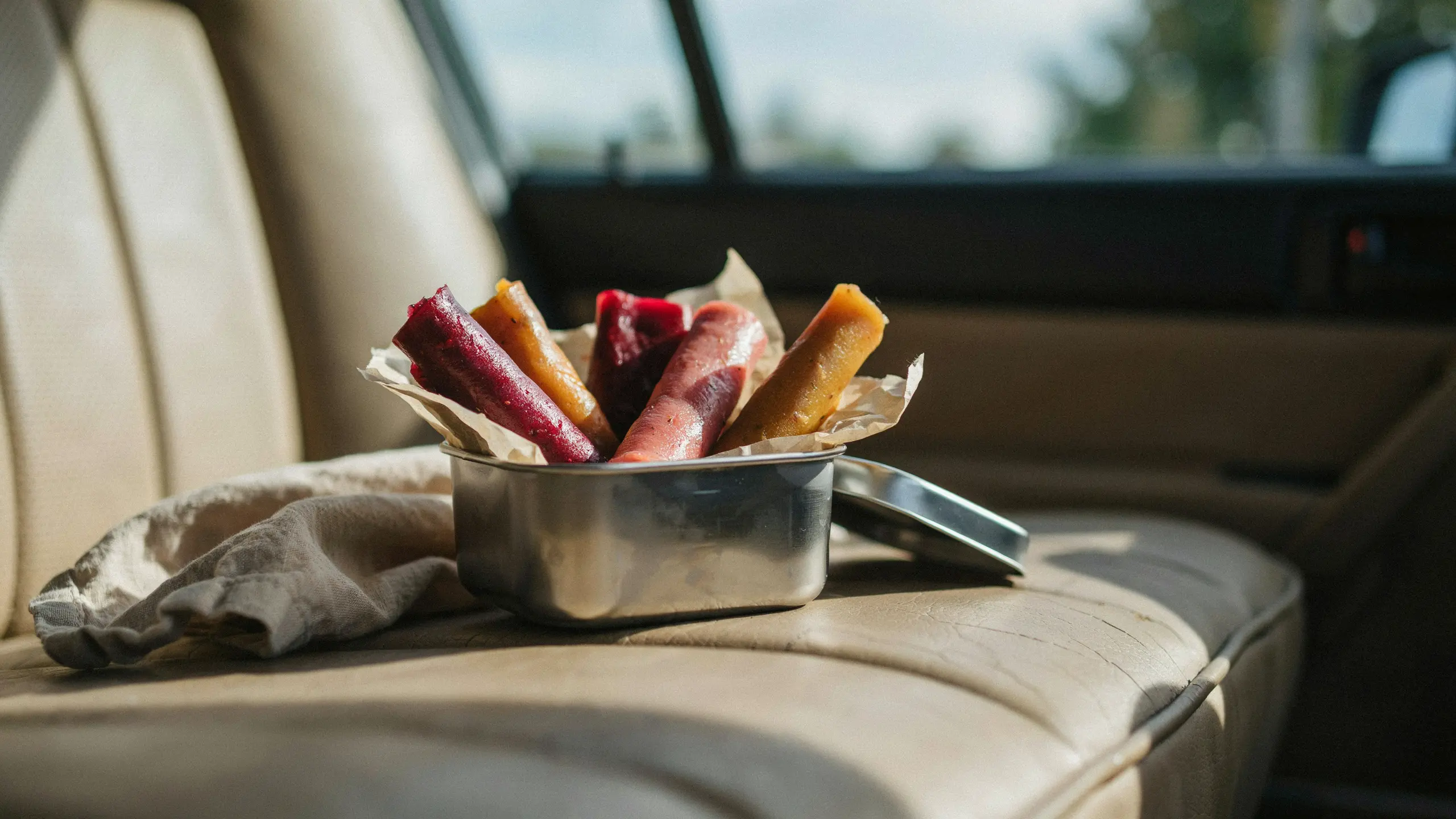 Homemade fruit leather strips packed as a healthy road trip snack.