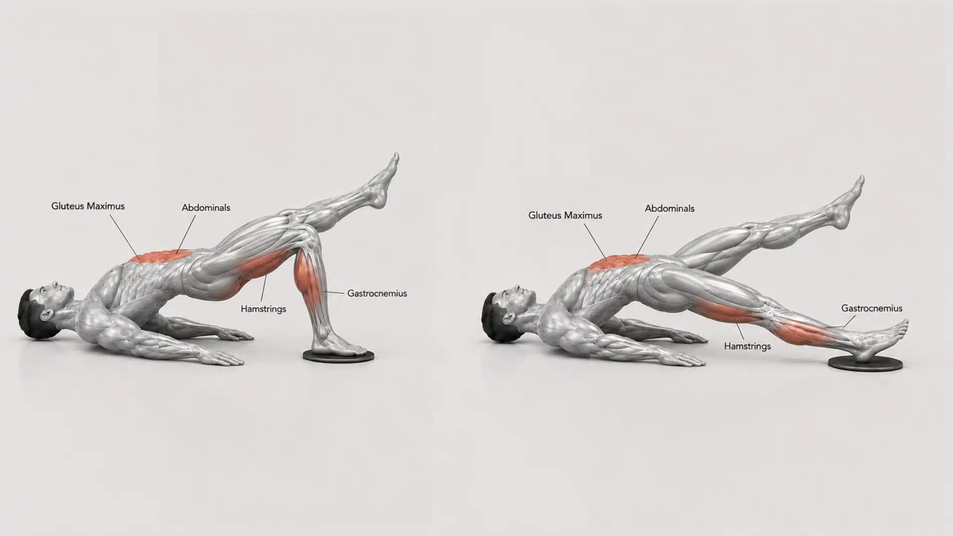 Single-leg sliding hamstring curl exercise with controlled hip stability and leg movement.