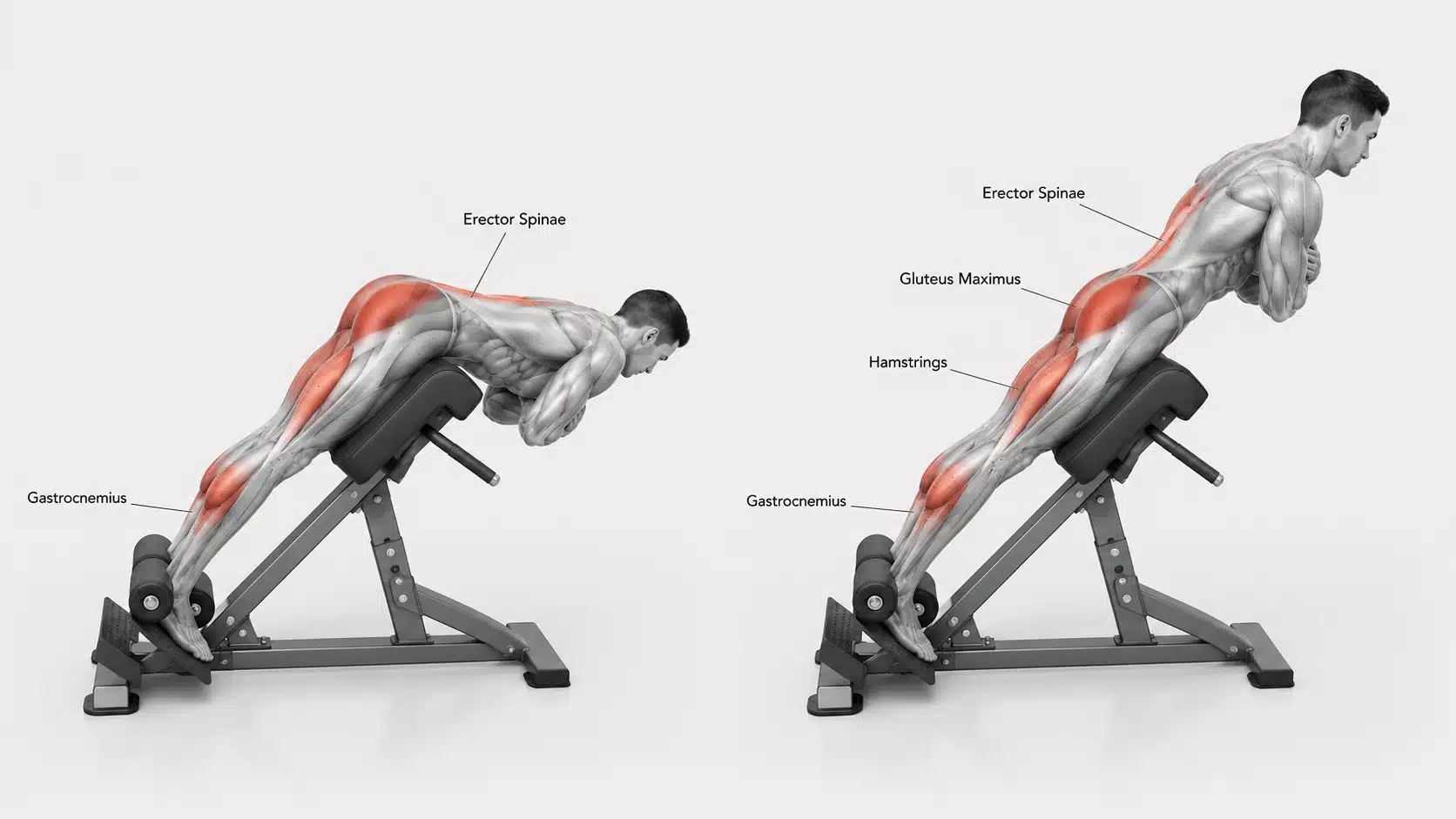 Single-leg sliding hamstring curl exercise with controlled hip stability and leg movement.