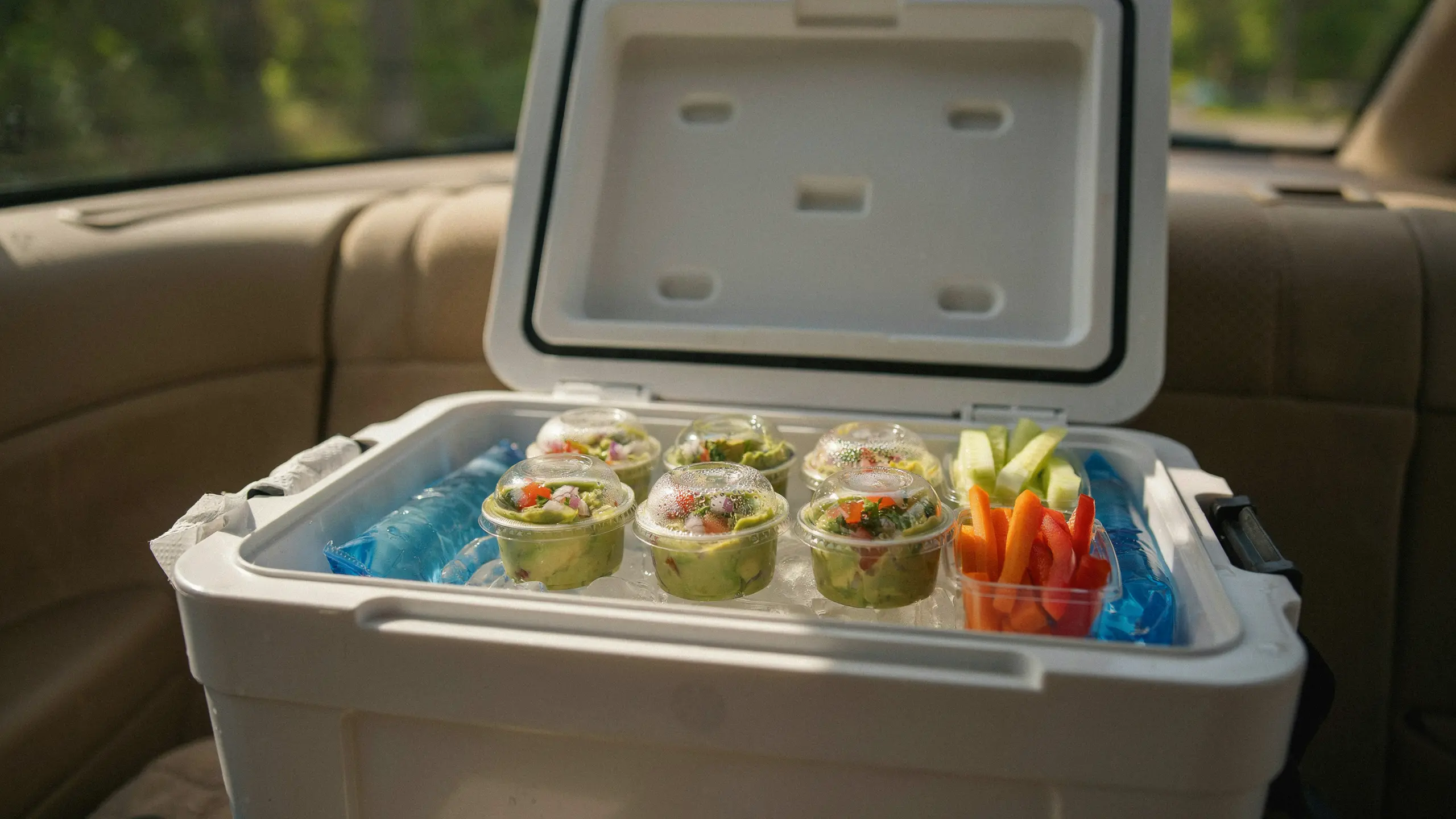 Single-serve guacamole packs with vegetables stored for a healthy road trip snack.