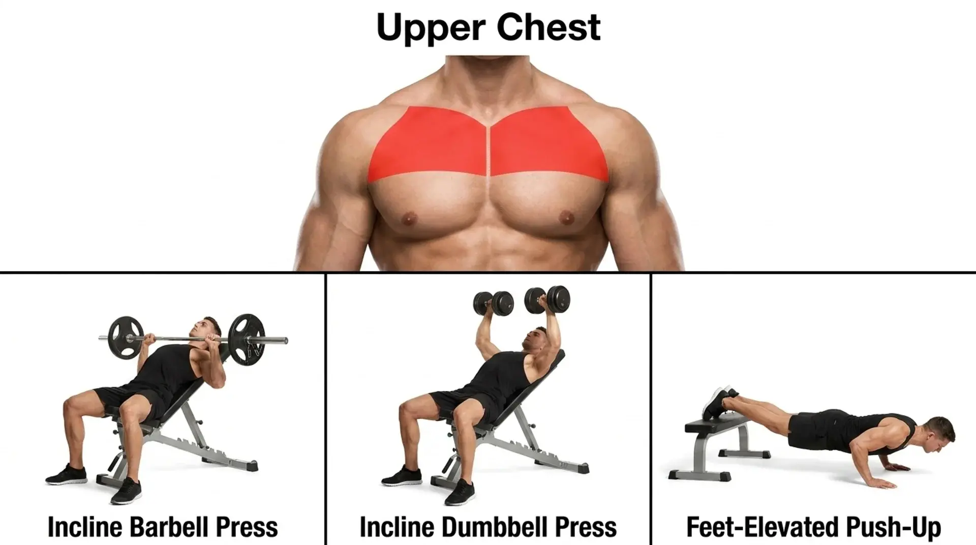 Upper chest highlighted above incline presses and a feet-elevated push-up.