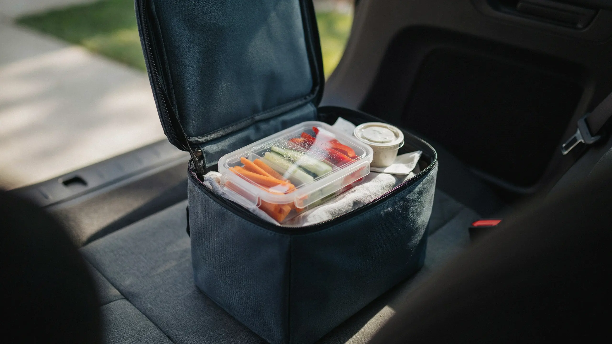 Veggie sticks with hummus dip packed as a kid-friendly road trip snack.