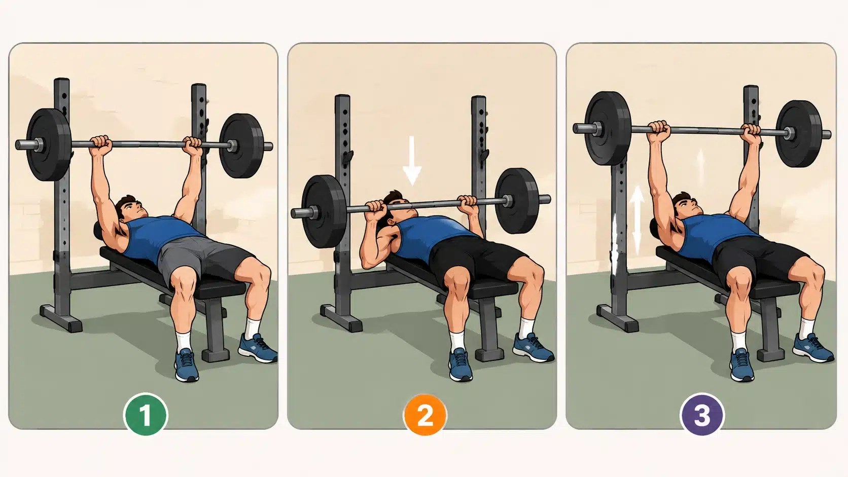 Barbell bench press proper form shown in three steps with correct lifting technique and movement pattern.