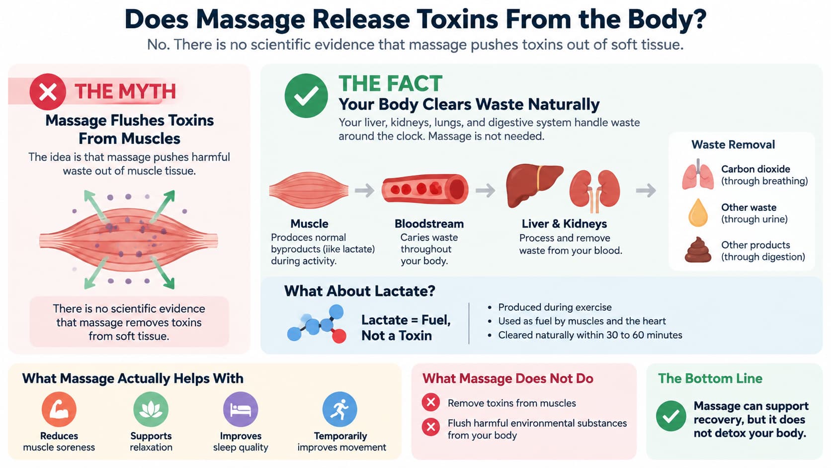 Infographic debunking the myth that massage flushes toxins from muscles and showing how the body naturally clears waste.