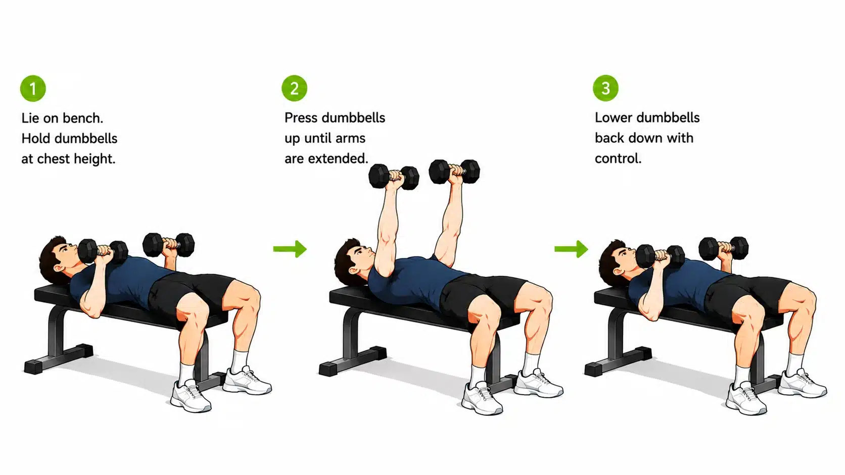Cartoon man demonstrating dumbbell chest press on a bench with controlled pressing motion