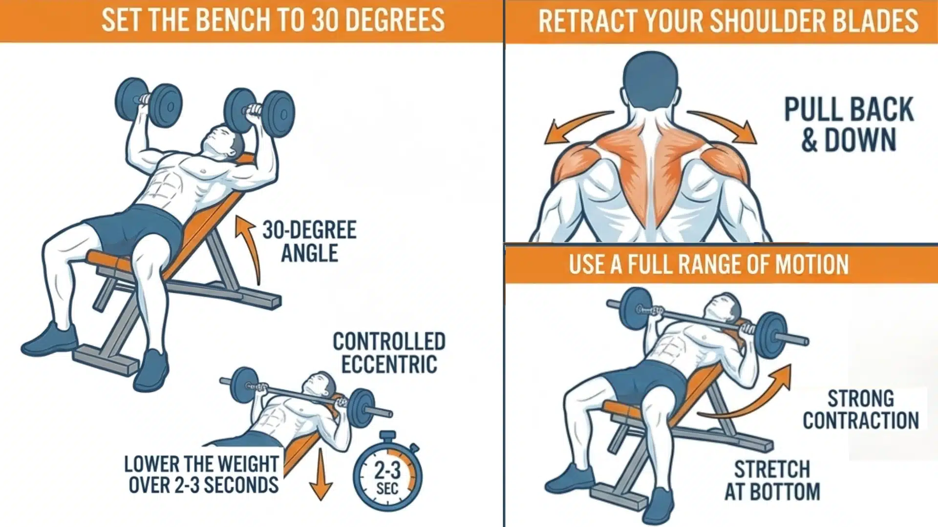 Proper upper chest exercise technique showing bench angle, shoulder position, and controlled lifting form